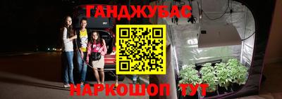 сатива Бердск