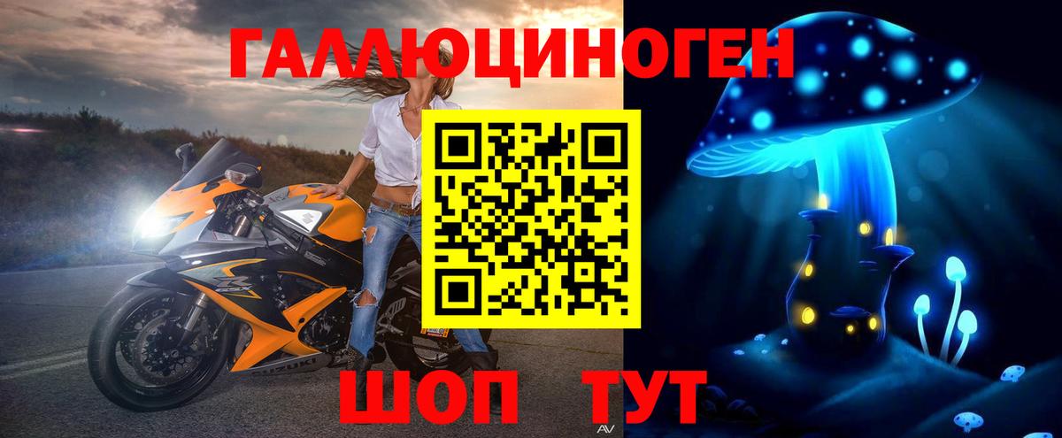 Галлюциногенные грибы мицелий  сколько стоит  Псилоцибиновые грибы Cubensis  Ейск  Вход с VPN 